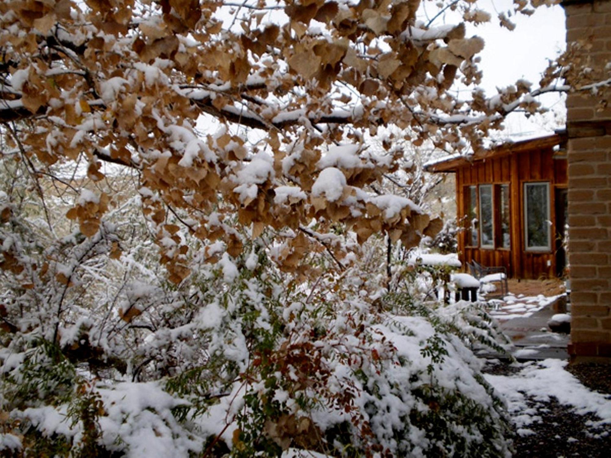 Silver River Adobe Inn Bed And Breakfast Фармингтон Экстерьер фото